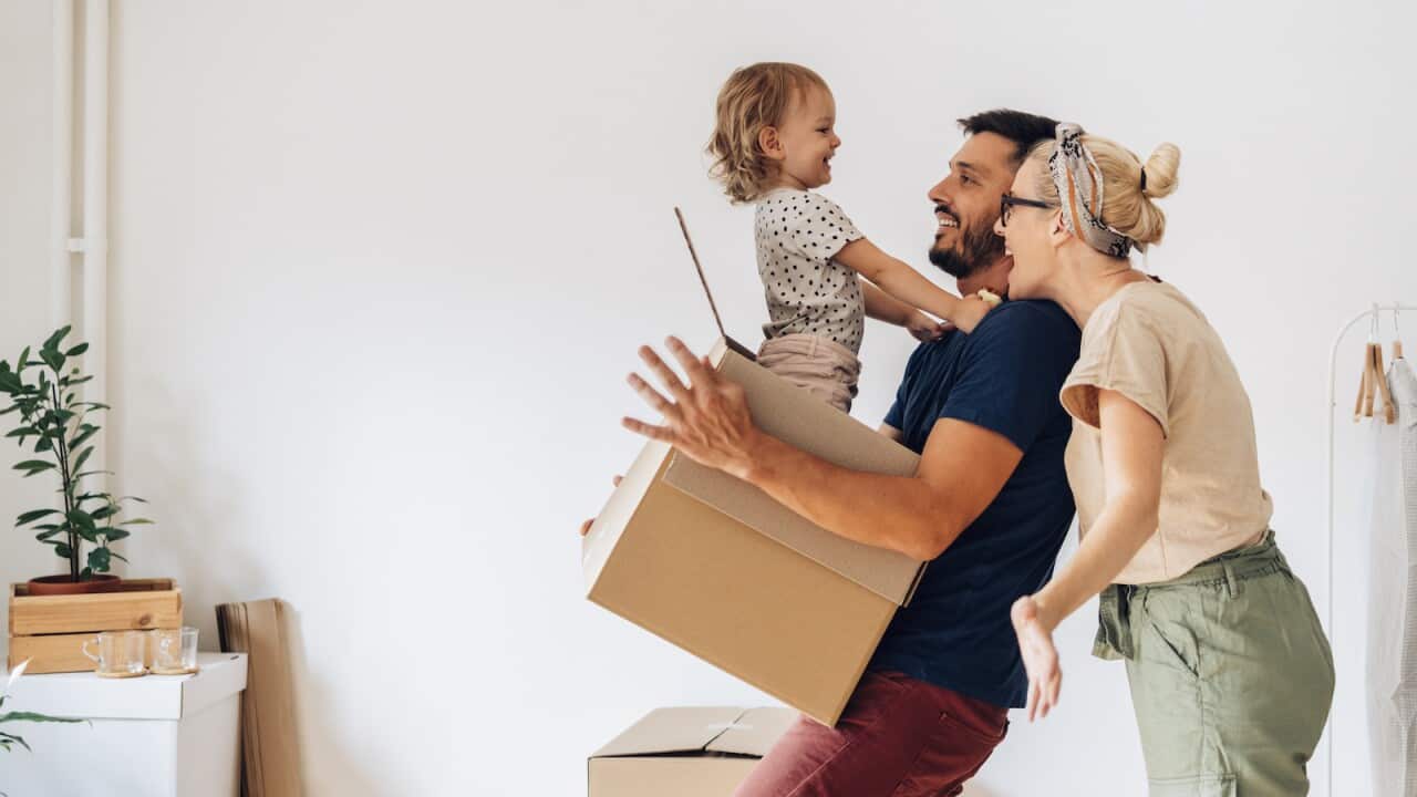 Image for read more article 'READ MORE'