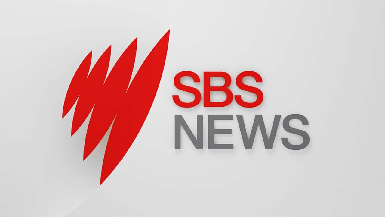 SBS News