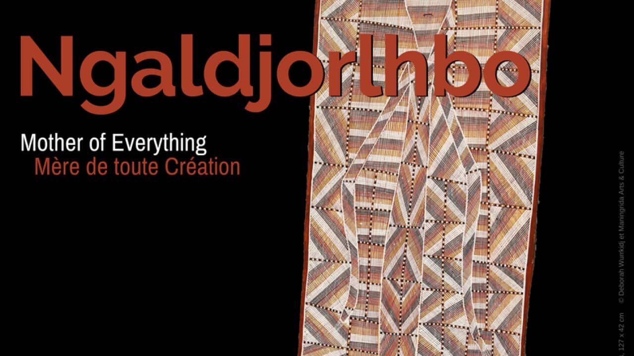 Exposition Aborigene Paris 