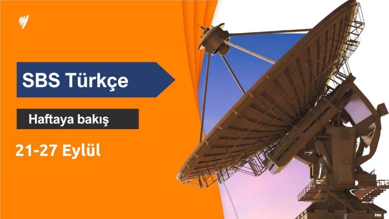 Copy of Engagement Image Posts (2).jpg