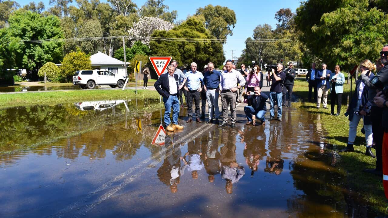 ANTHONY ALBANESE NSW FLOODS VISIT