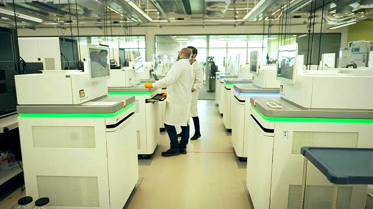 Inside the Wellcome Sanger lab in Cambridge, looking for COVID variant genomes