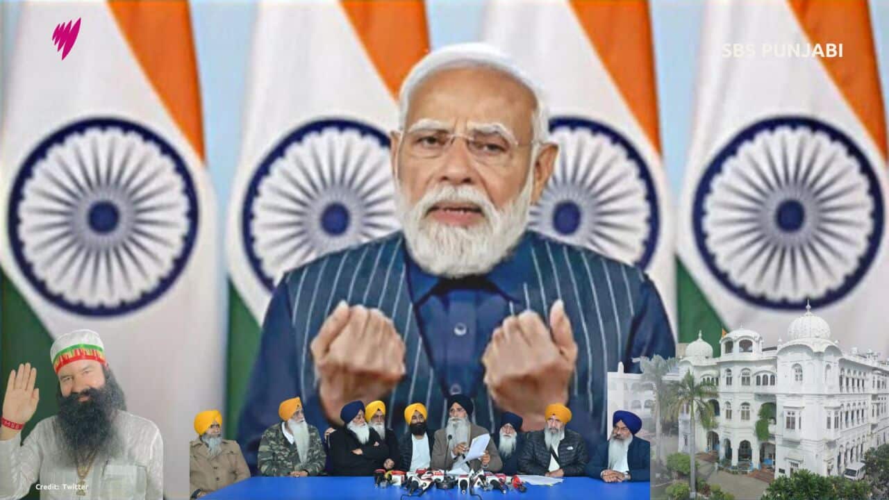 MP's 16x9 (Presentation) (2).jpg