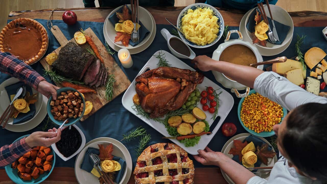Stuffed Turkey for Thanksgiving Holidays with Pumpkin, Peas, Pecan, Berry Pie, Cheese Variations and Other Ingredient