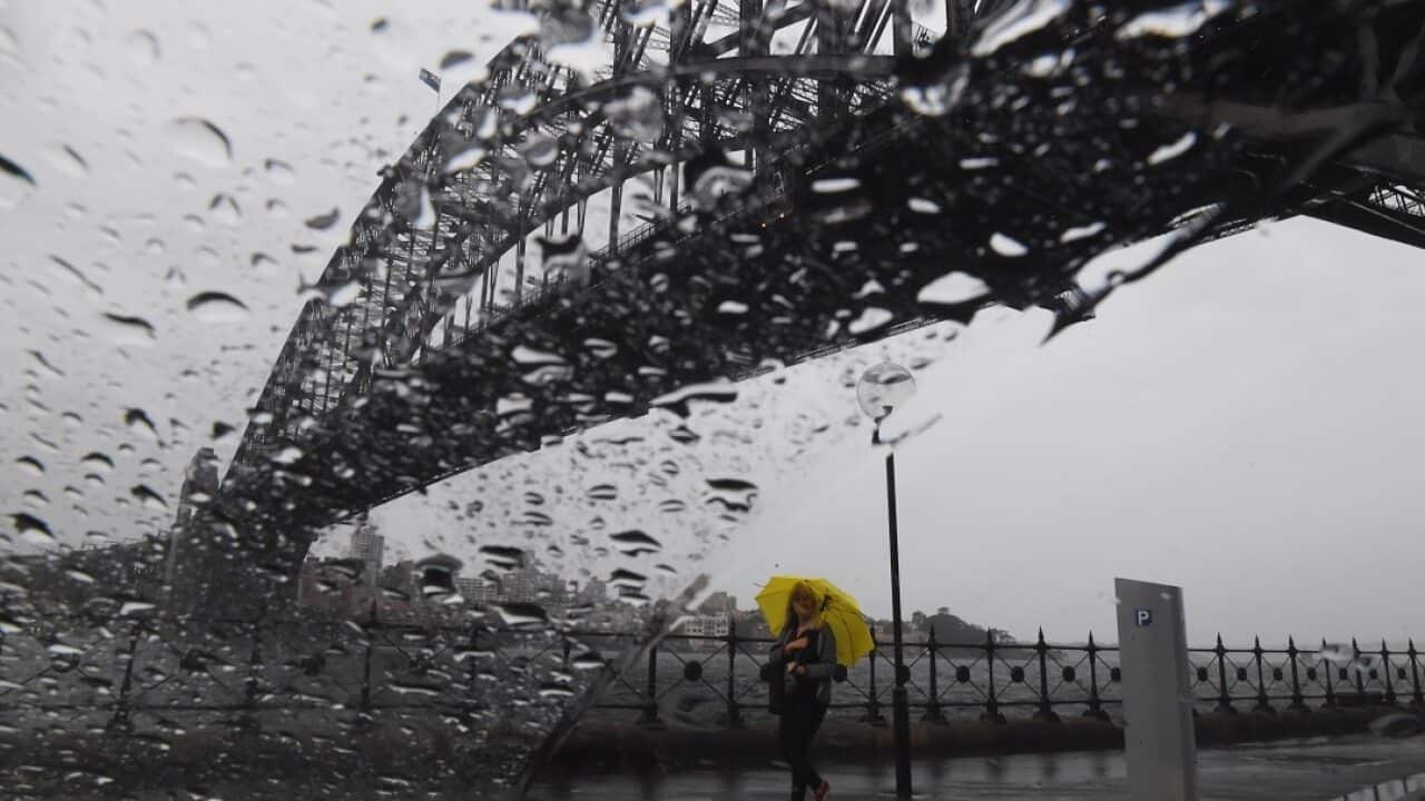 A month's worth of rain pelted down in Sydney in just two hours on Wednesday morning.