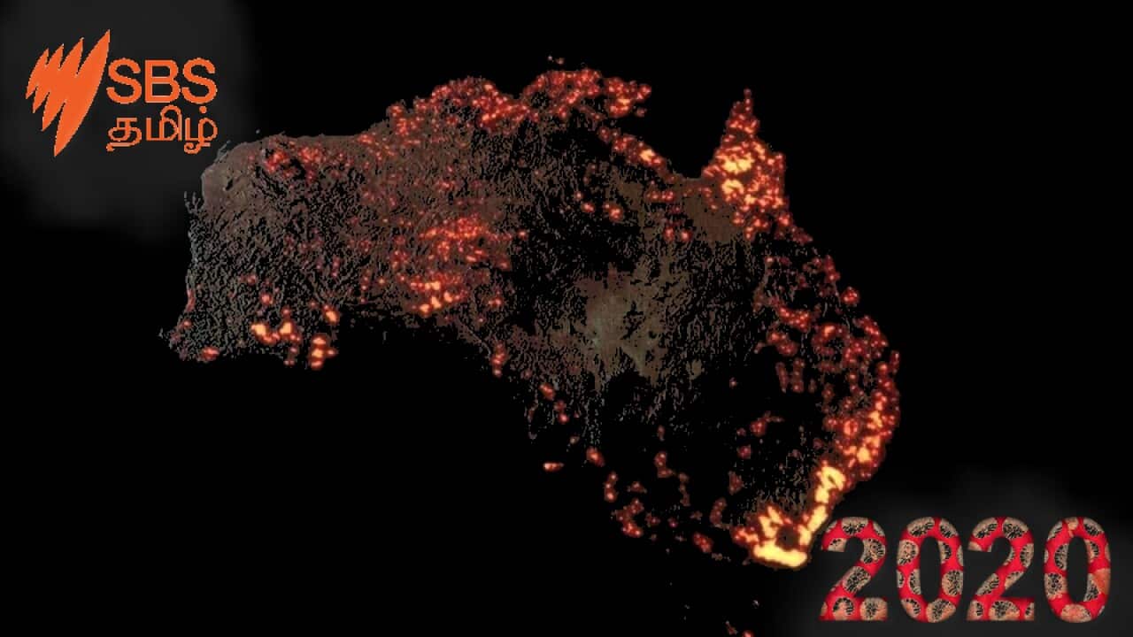 Australian News