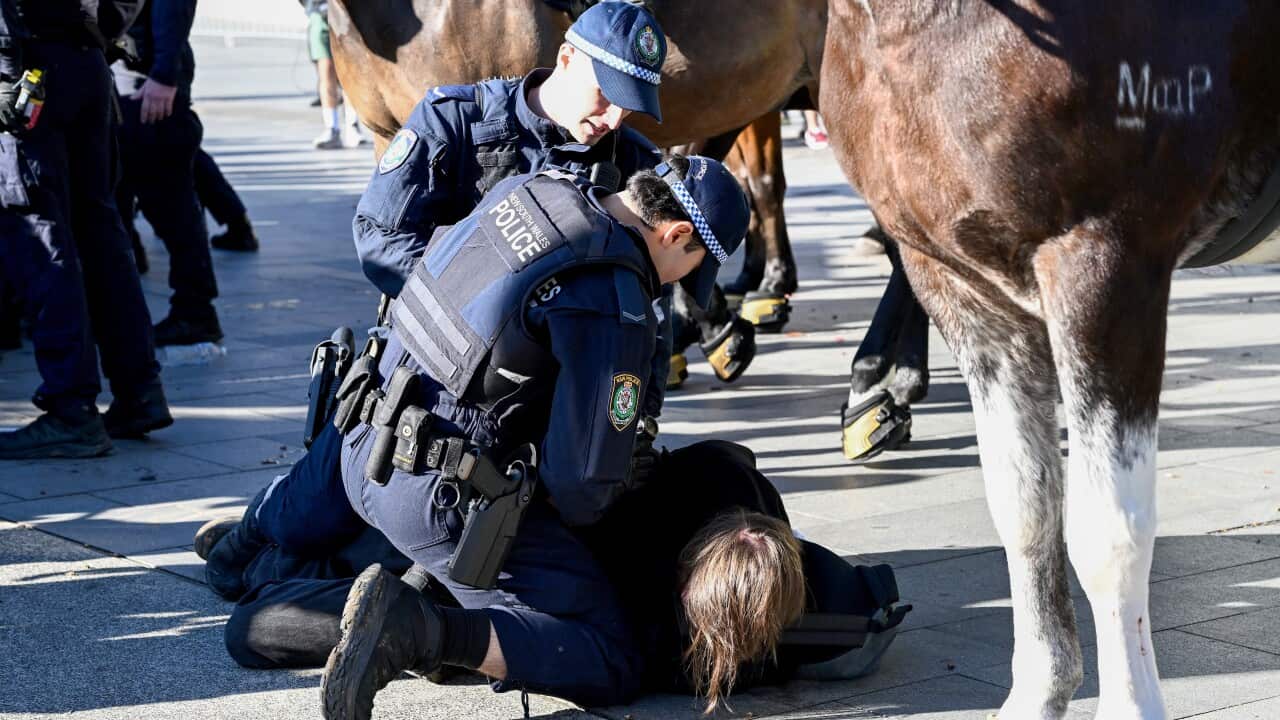 Multiple arrests after police and protesters clash at the Sydney arms fair Multiple arrests after police and protesters clash at the Sydney arms fair
