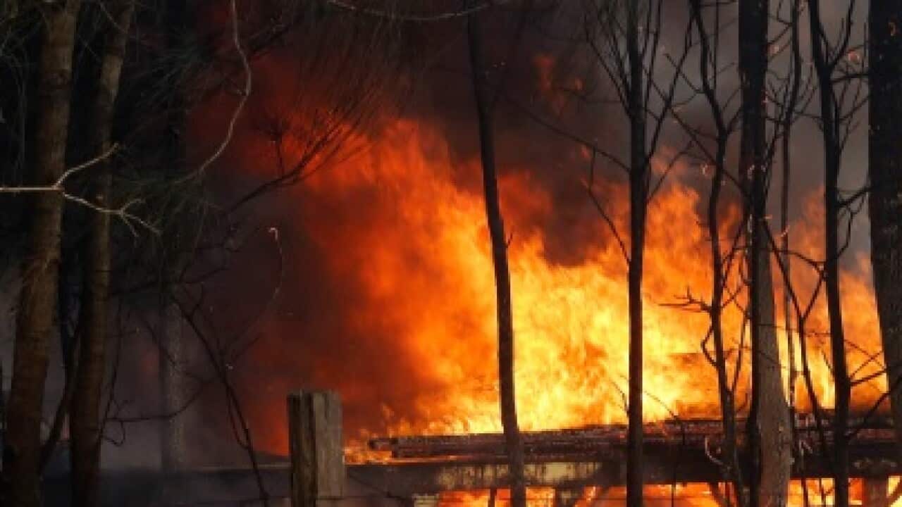 bush fire