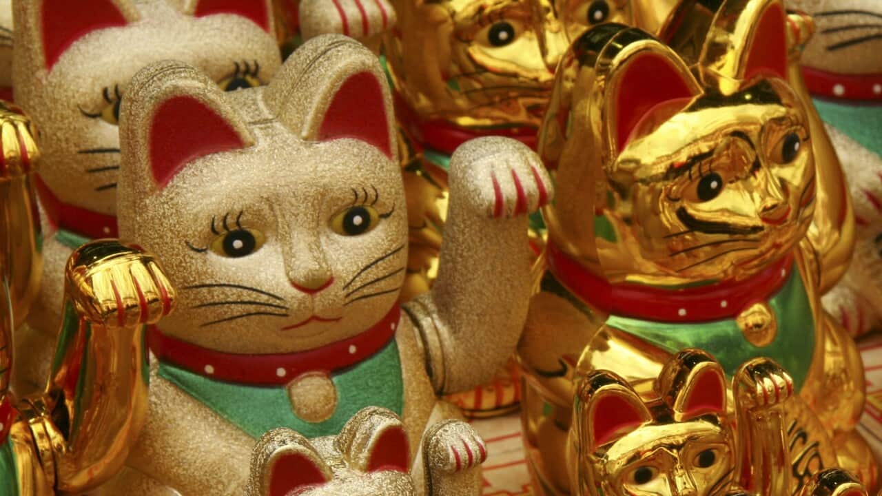 Image for read more article 'Más información:'