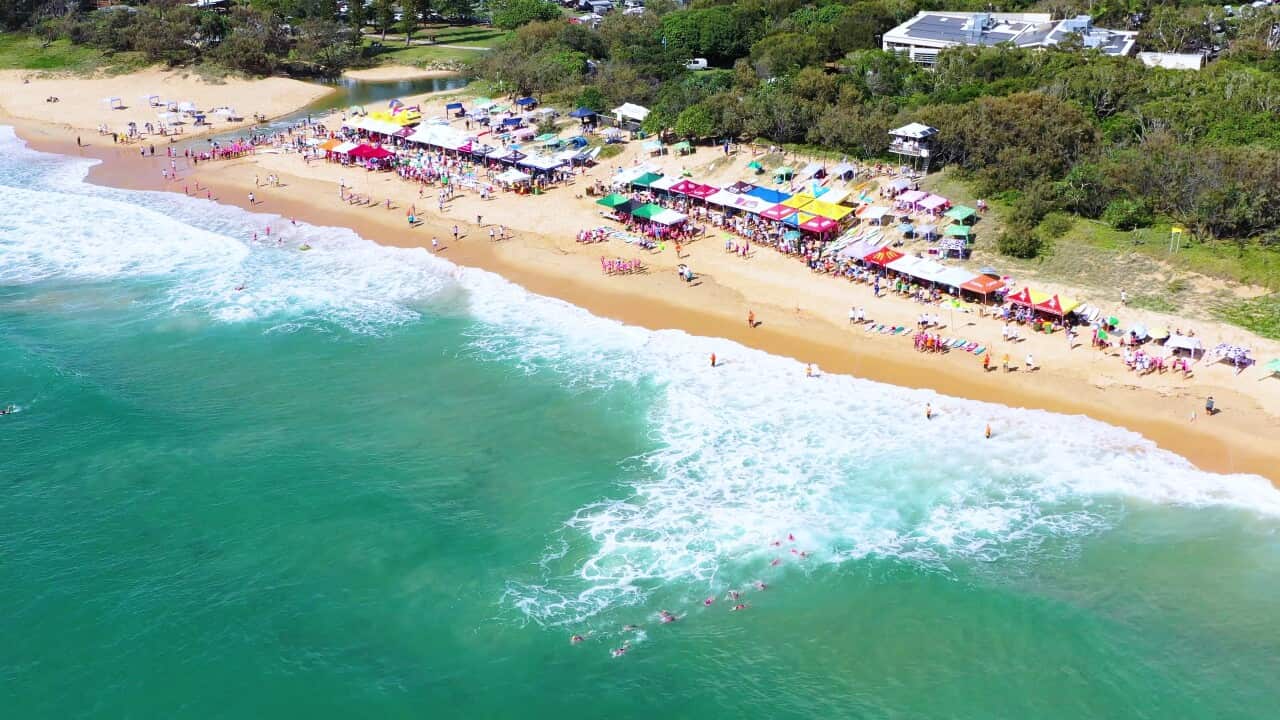 aerial-view-of-a-surf-lifesaving-carnival-dicky-beach-caloundra-sunshine-coast-queensl-SBI-349495036.jpg