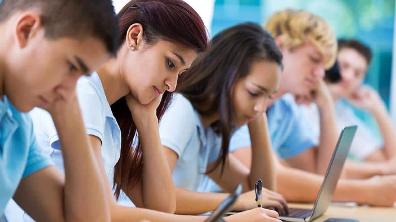 Students studying in school.