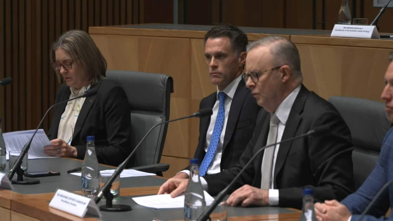 Anthony Albanese speaking following the National Cabinet meeting (SBS).png