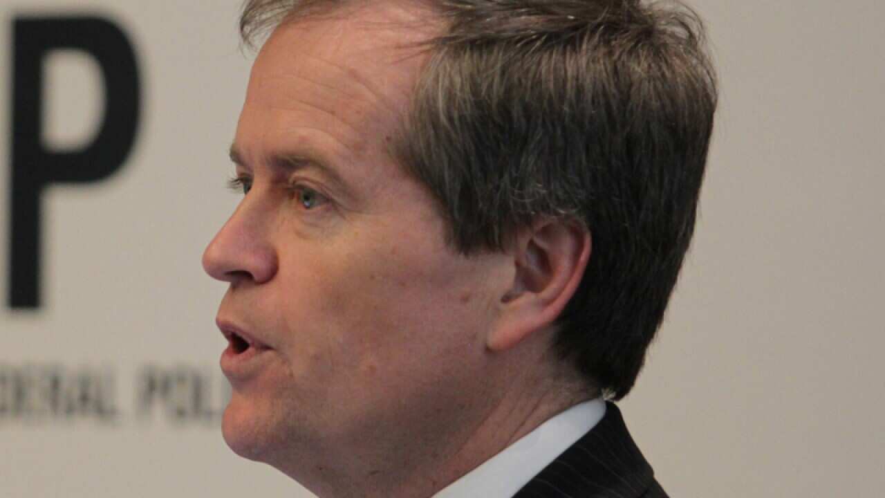 Abbott scared of schools backlash: Shorten