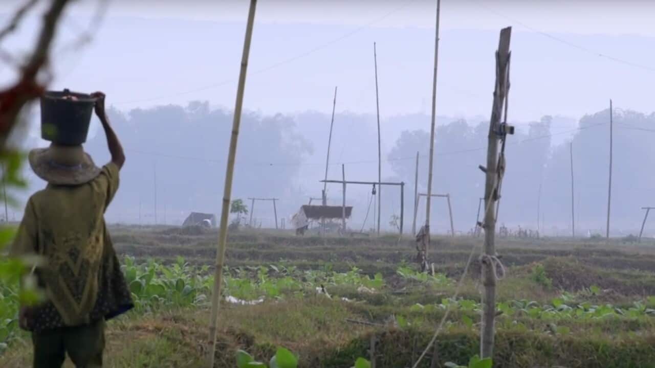 A screen grab from a Human Rights Watch video about the Tobacco industry in Indonesia