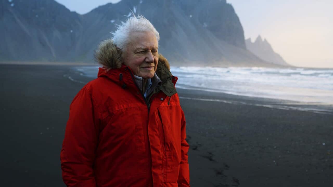Sir David Attenborough in Iceland