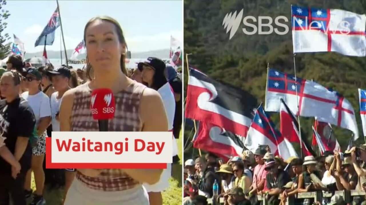 Exquisite Watch Waitangi 2026 Live: Govt's Acts Were 'dog-like' And Labour Milked The Mana Of Māori, Activist Says Design in HD Exquisite Watch Waitangi 2026 Live: Govt's Acts Were 'dog-like' And Labour Milked The Mana Of Māori, Activist Says Design in HD