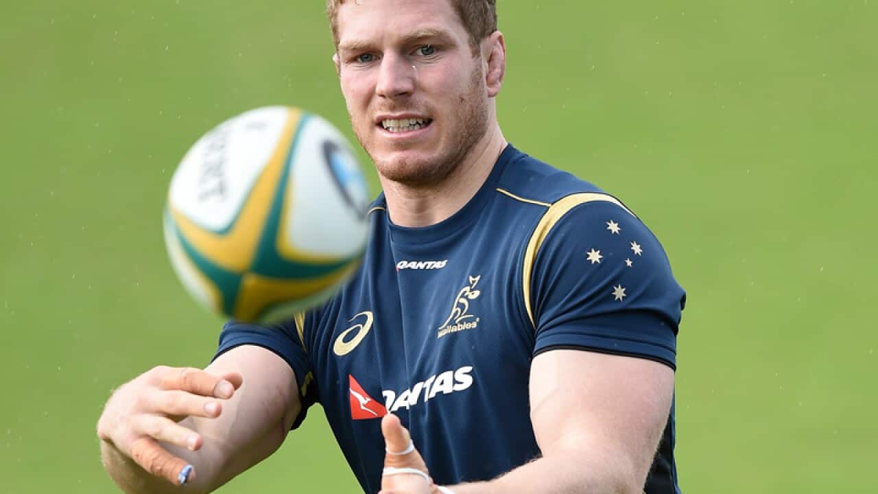 David Pocock of the Wallabies