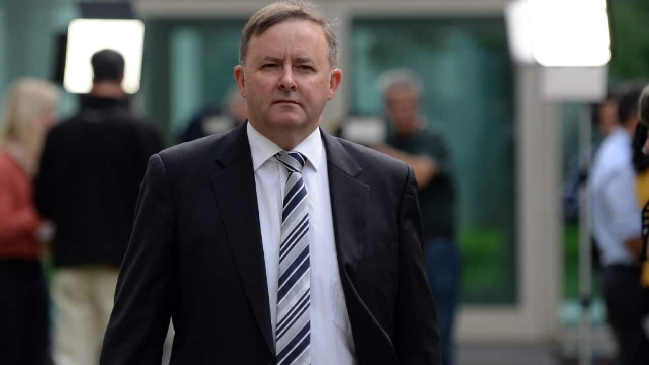 Anthony Albanese