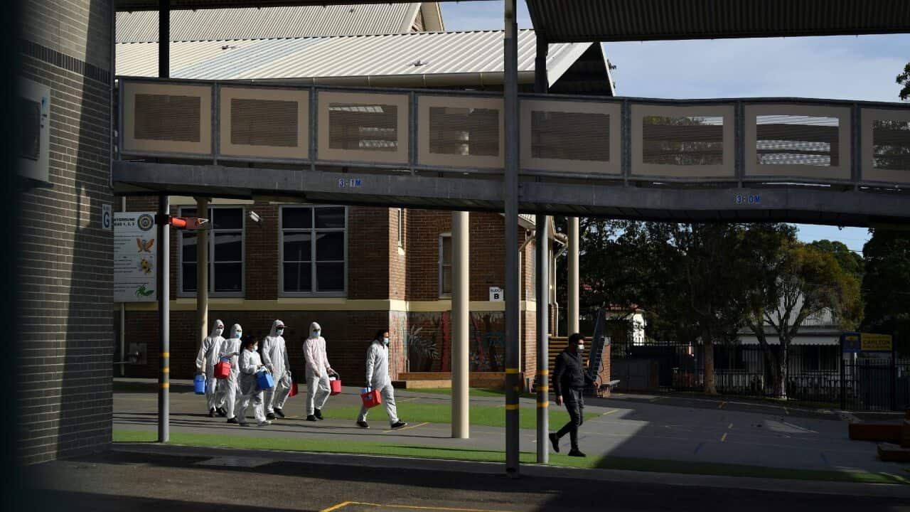 Image for read more article 'READ MORE'