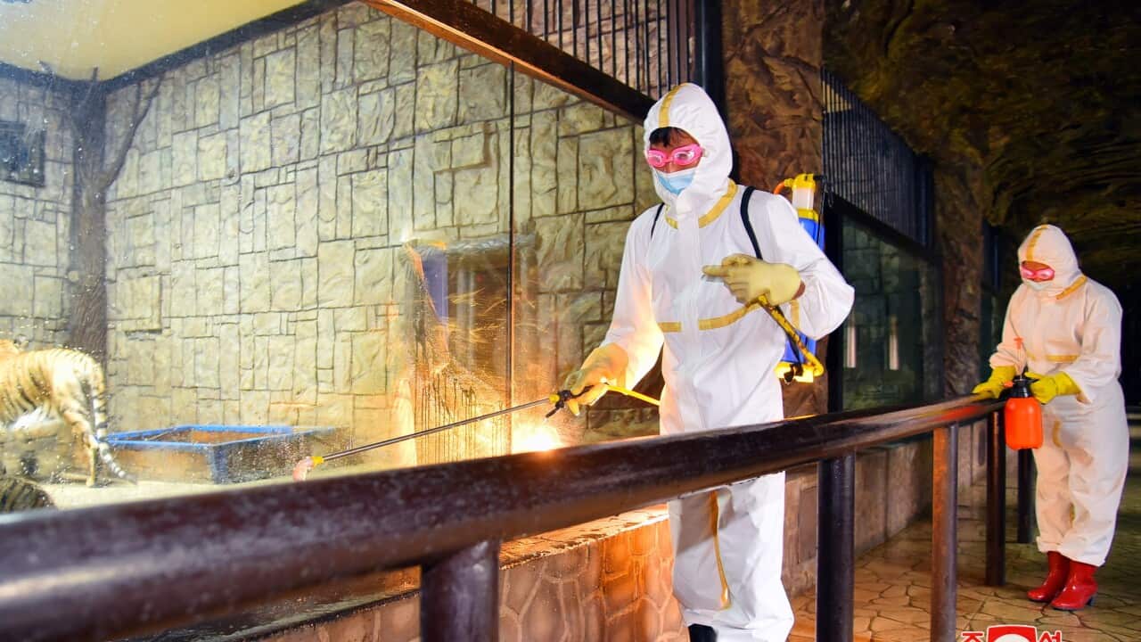 NORTH KOREA PANDEMIC COVID 19