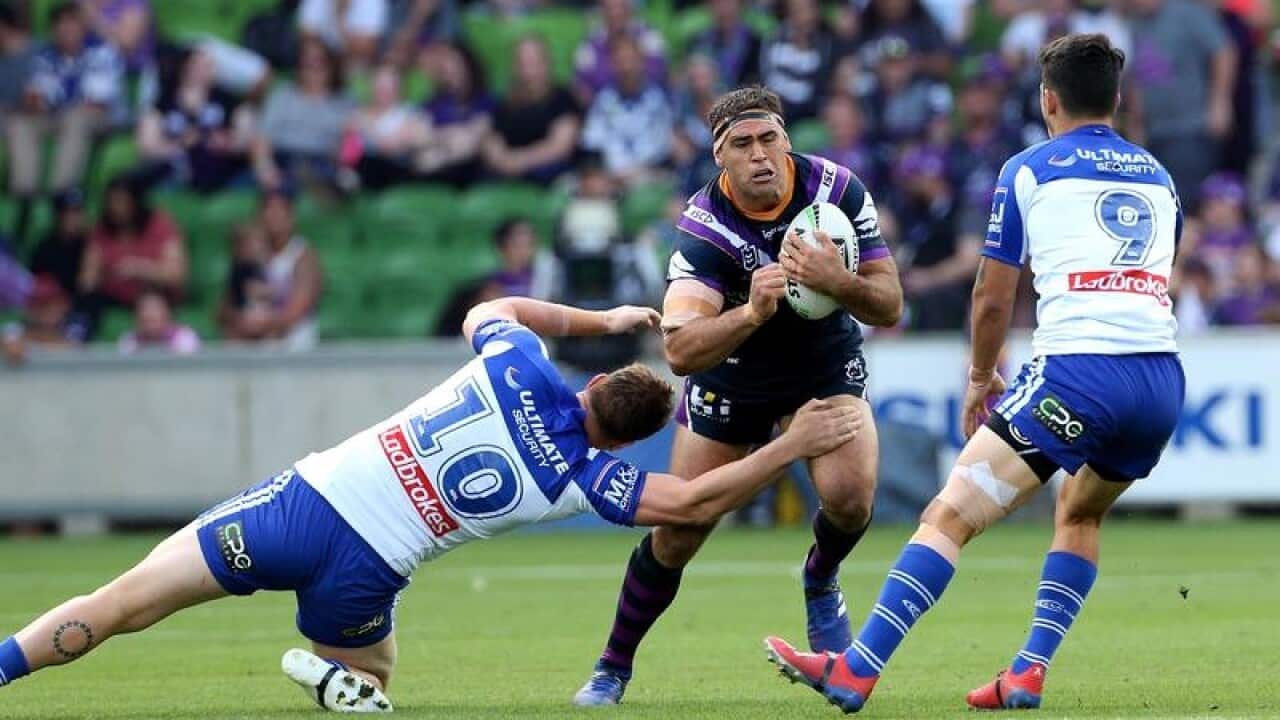 NRL STORM BULLDOGS NAPA