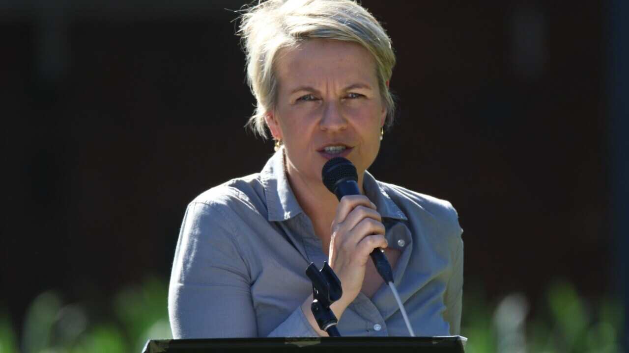 File image of Deputy leader of the opposition Tanya Plibersek 