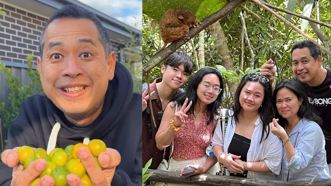 Mannix Lizardo profile.jpg