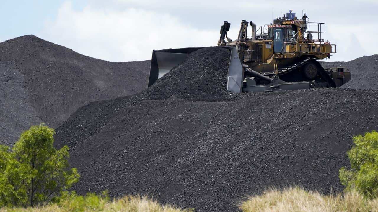 Heavy machinery moves coal at a mine near Muswellbrook in the Hunter Valley