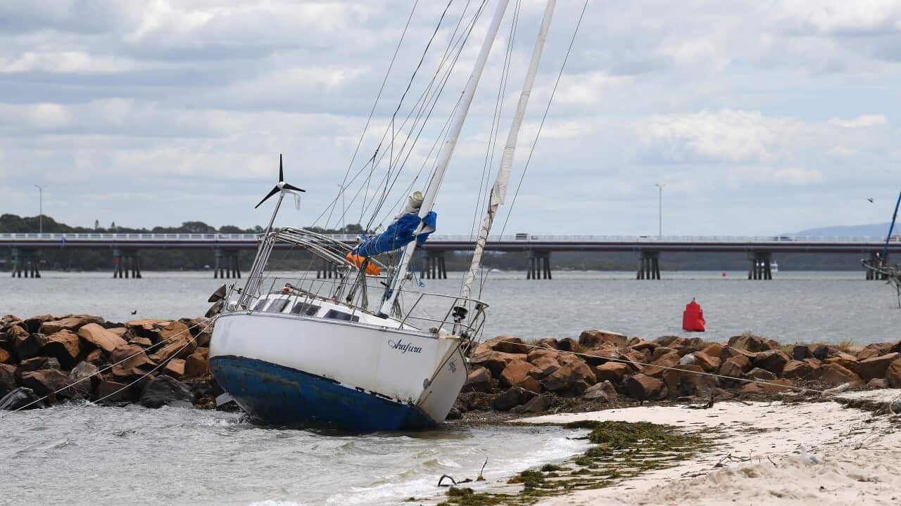 Image for read more article 'Información relacionada:'