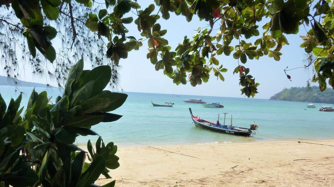 Image for read more article ''