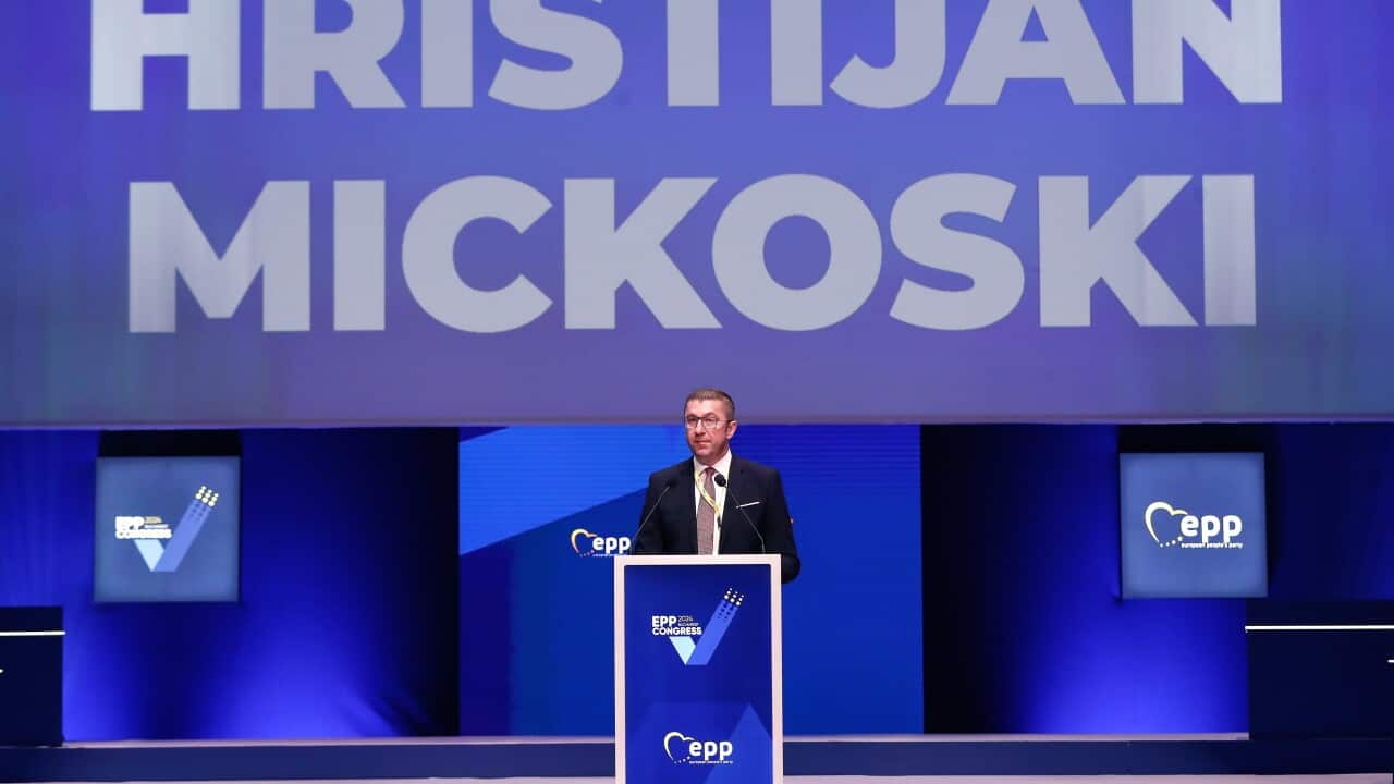 ROMANIA PARTIES EU ELECTIONS