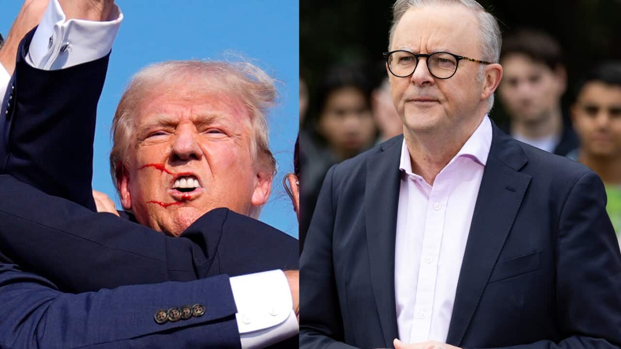 ‘Concerning and confronting’: Australian leaders condemn Donald Trump rally shooting