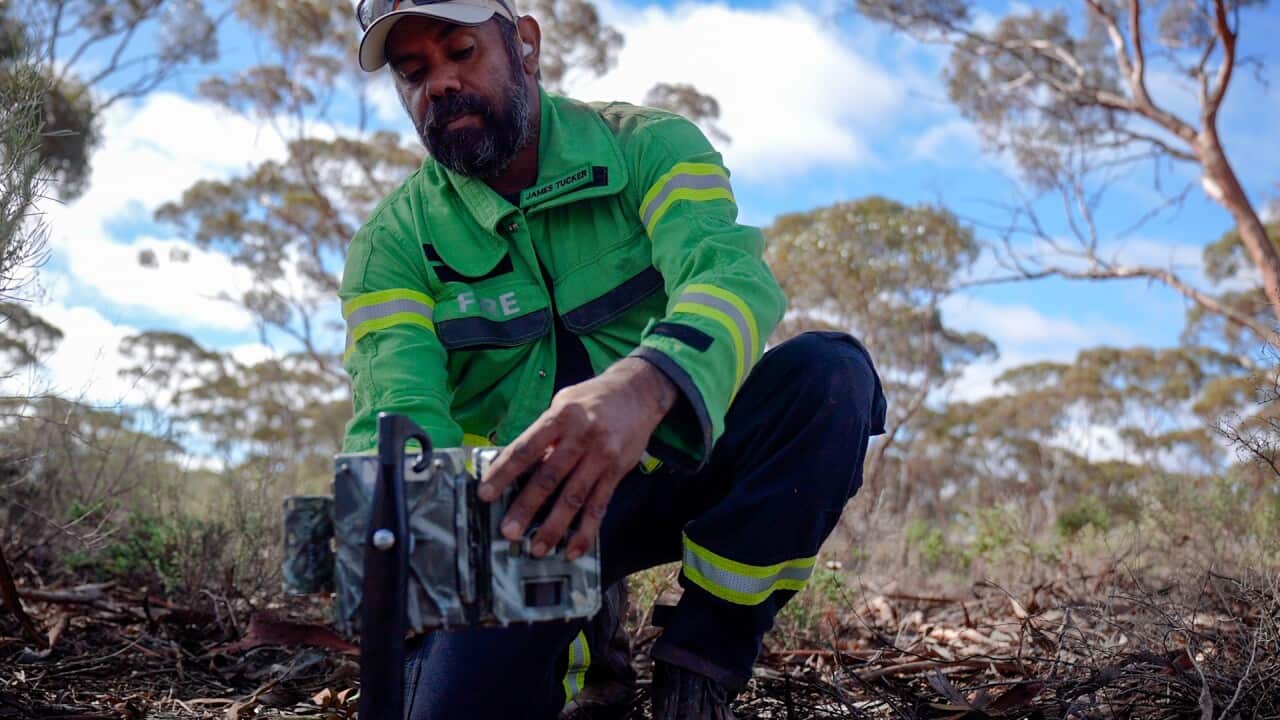 James Tucker checks an equipment reading in the bush.