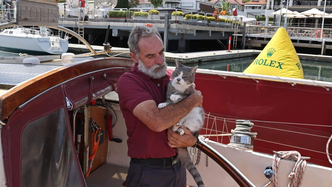 Oli the cat is seen being held in his owners arms on the deck of a boat.