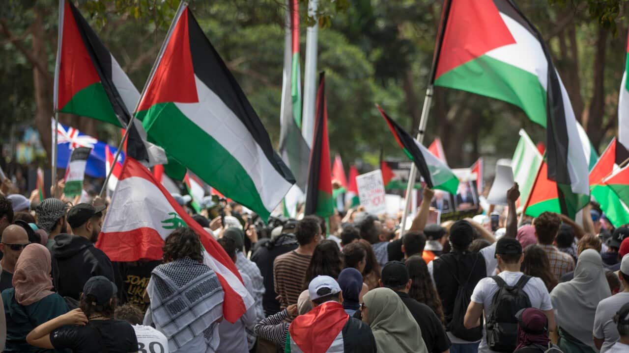 A group of people holding Palestinian flags.