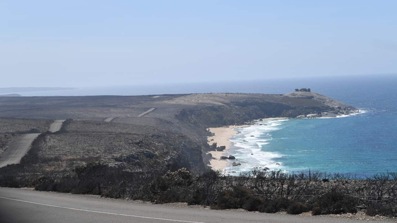KANGAROO ISLAND BUSHFIRES
