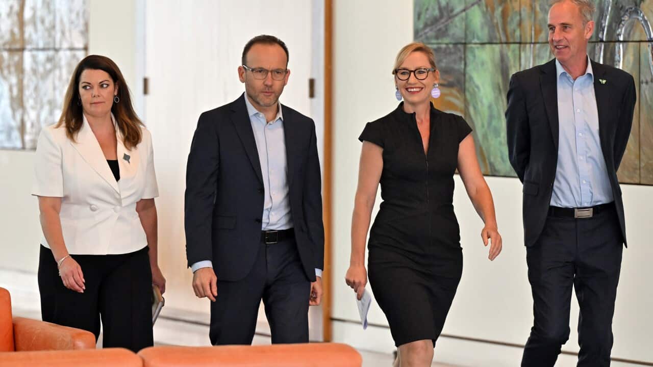 ADAM BANDT GREENS PRESSER