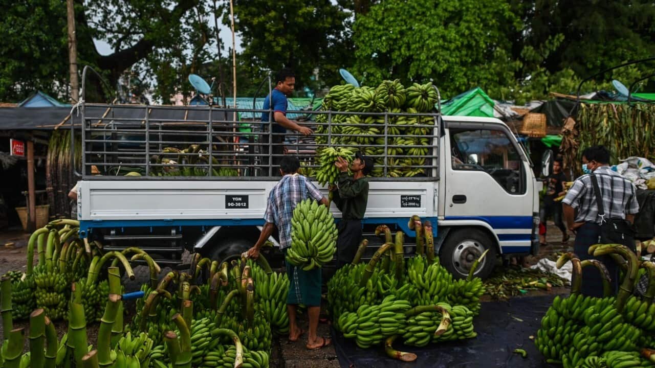 Burmese labourers load bananas onto a truck at a banana wholesale market (YE AUNG THU-AFP via Getty Images)