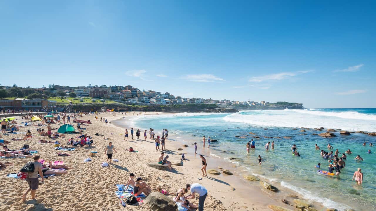 Image for read more article 'READ MORE'