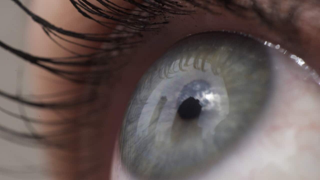 Gene Editing Blindness