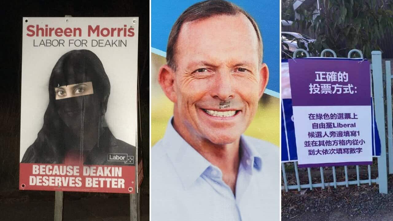 Image for read more article ''