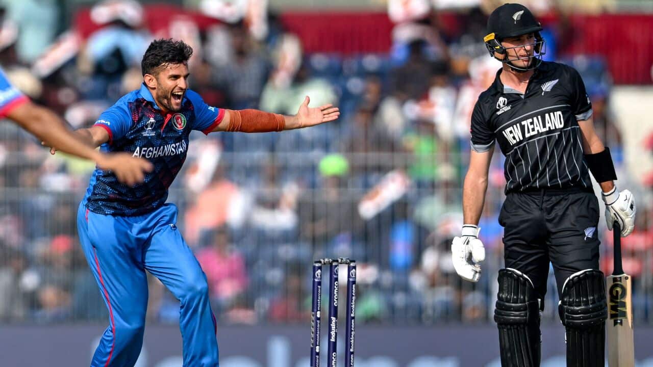 TOPSHOT-CRICKET-ICC-MENS-WC-2023-NZL-AFG-ODI