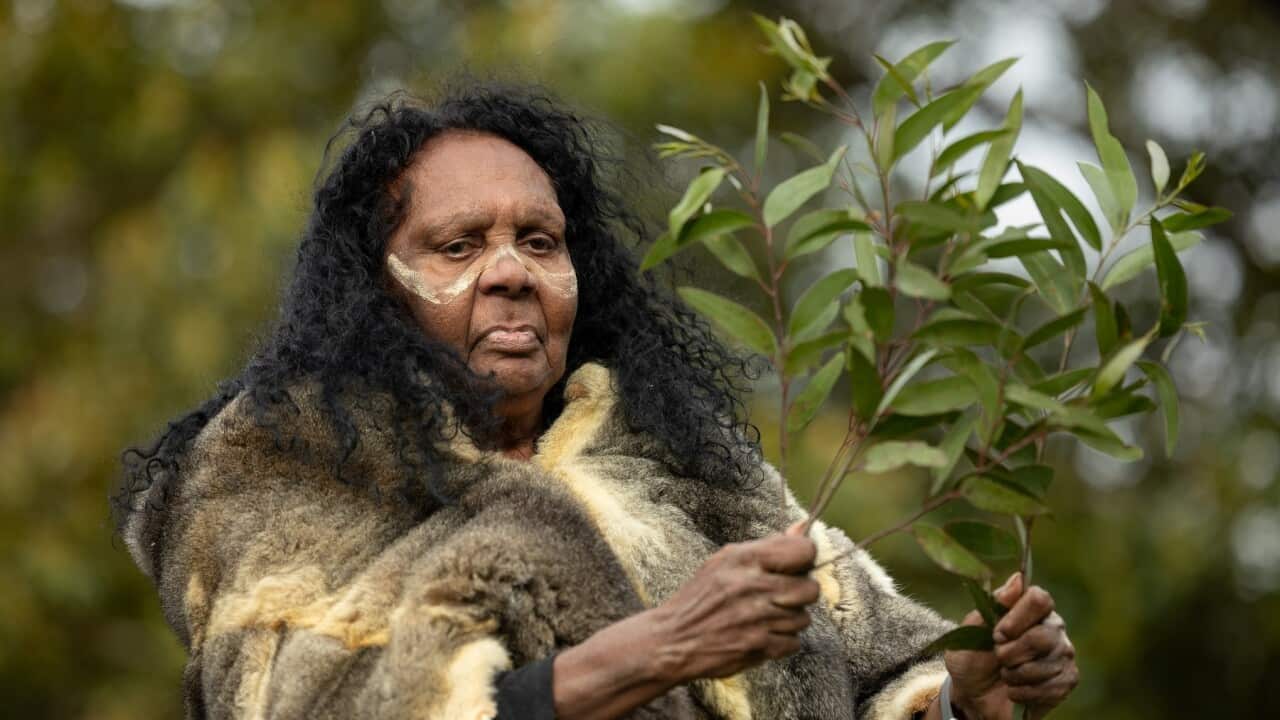 STOLEN GENERATIONS GATHERING SYDNEY