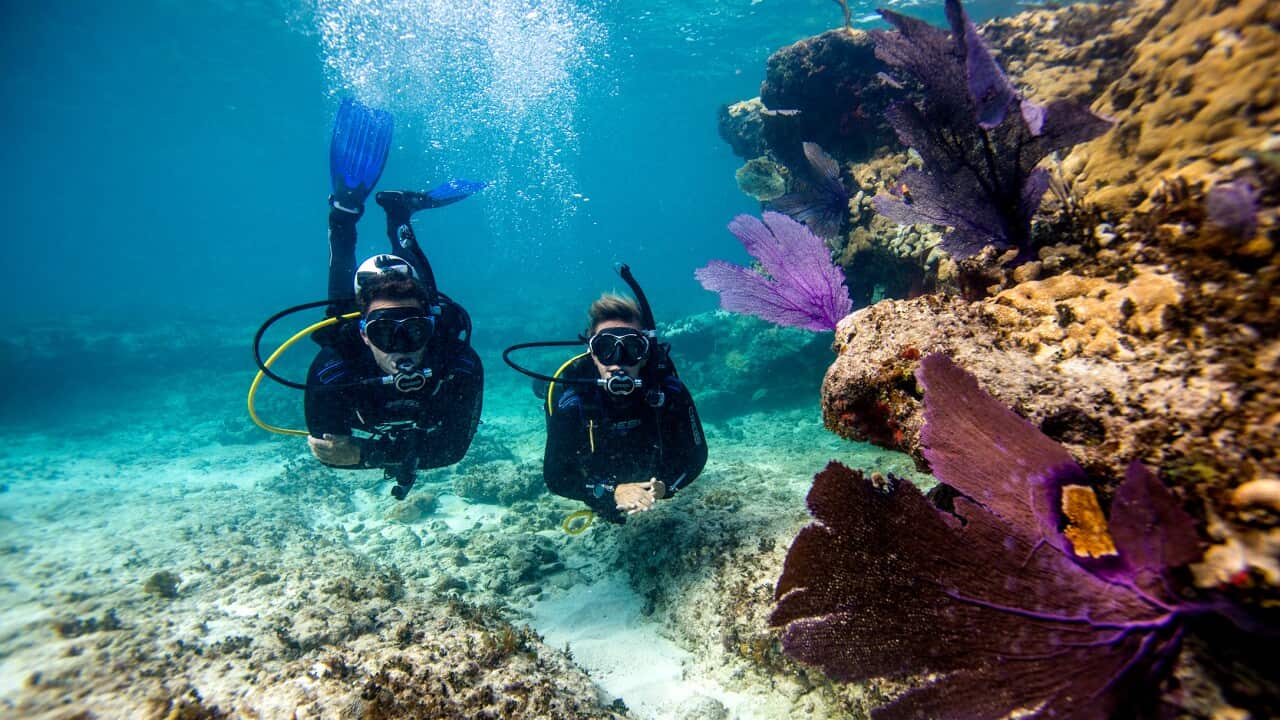 Diving