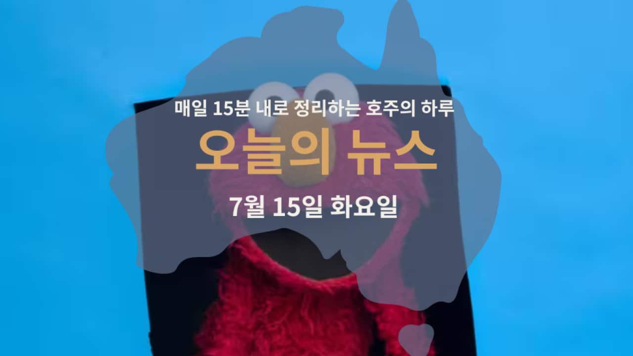 050625.png