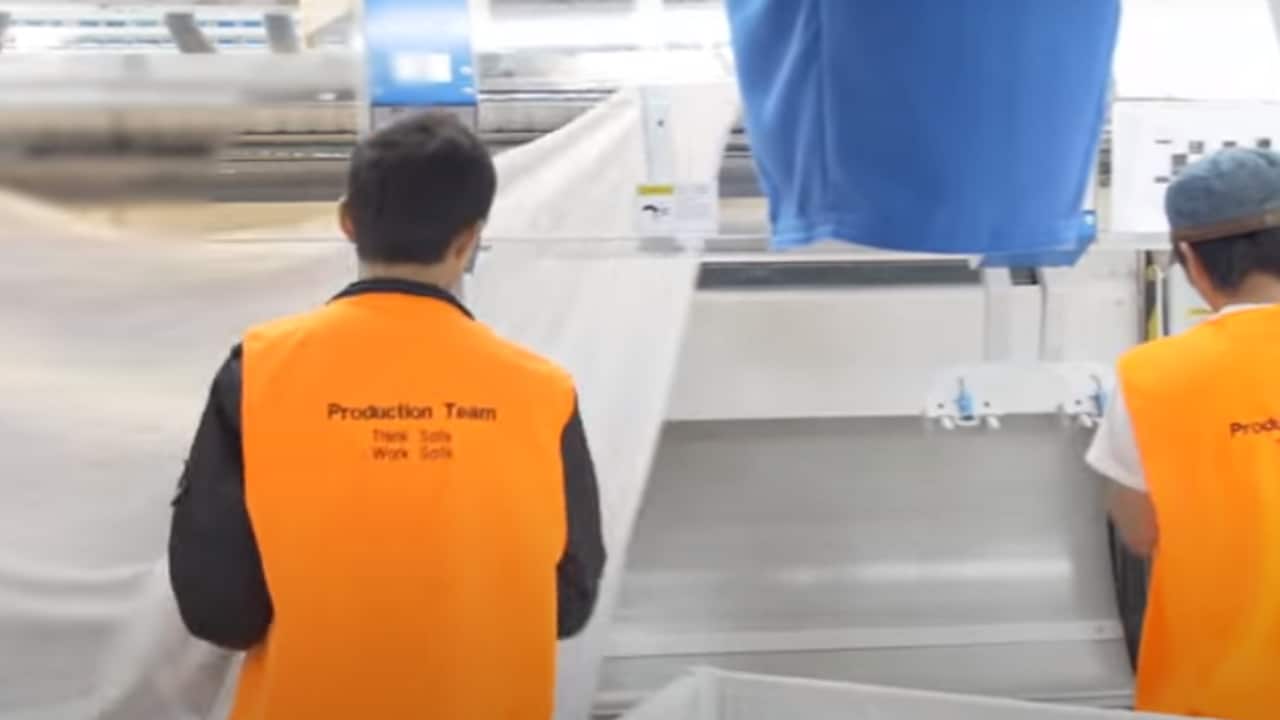 South Pacific Laundry is accused of standing down temporary visa holders amid coronavirus crisis, a claim the company denies.