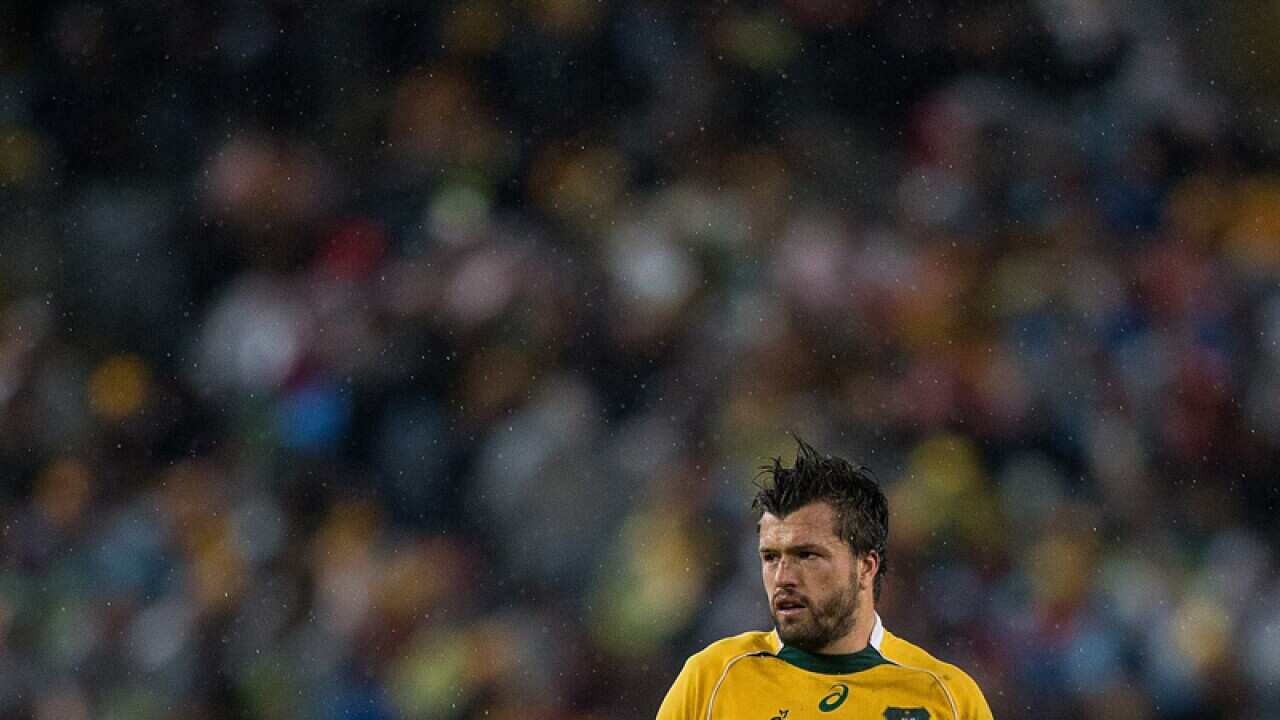 Wallabies Ben McCalman