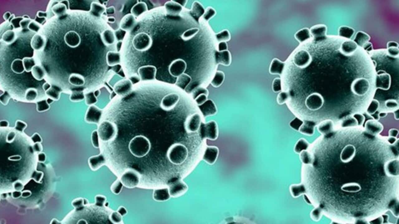 Virusi vya coronavirus