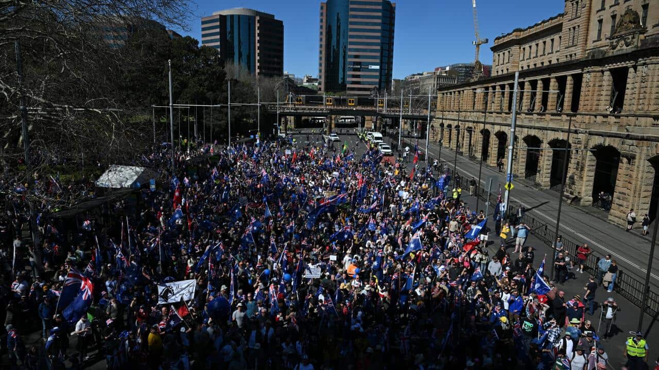 A large crowd of people standing in protest.