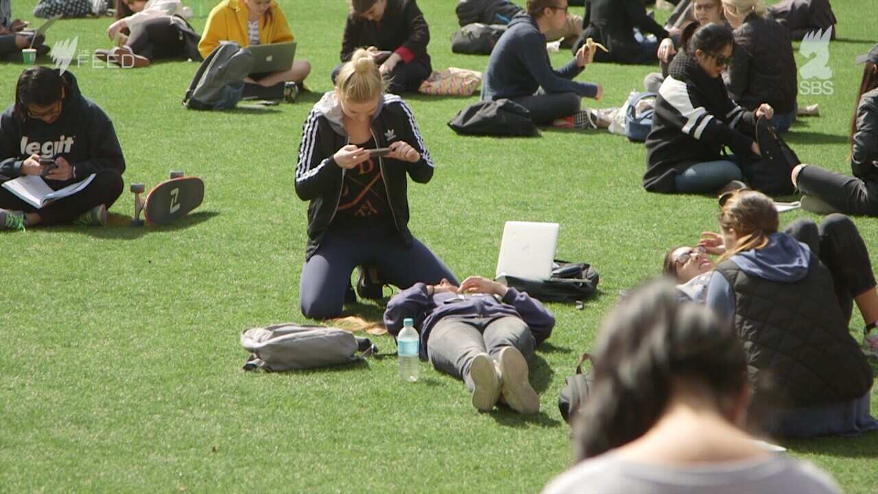 uni student